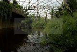leipzig zoo-01_07_2011_gondwanaland_065